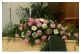 025 ``rosa-weiß"