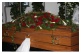 023 ``rote Rosen und Calla"