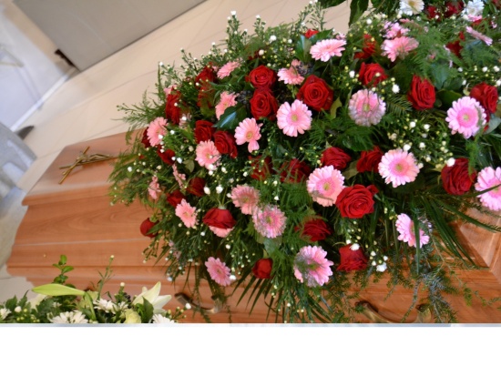 009 `` Rosa - Rot``  