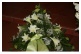 123 ``Weiße Lilien``