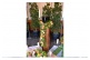 043 ``Bunte Blumen``